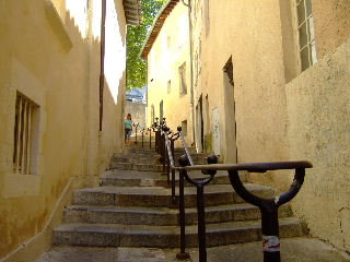 Avignon city view
