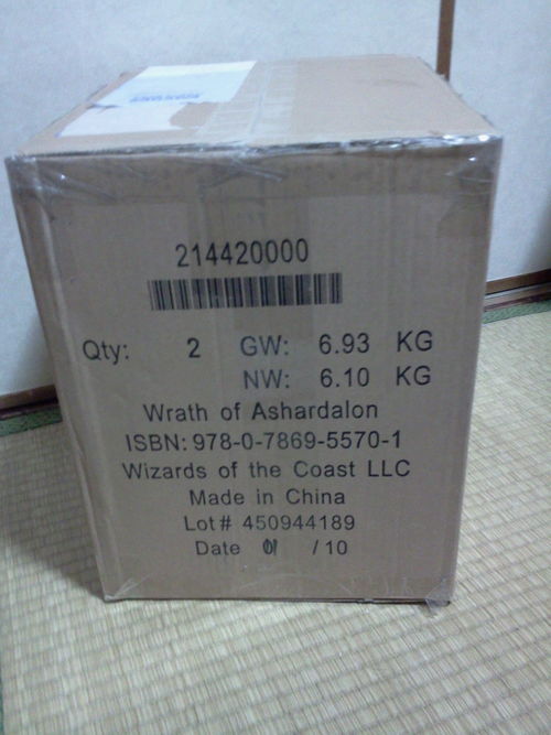 ダンボールでけえ・・・