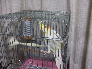 小屋の中から