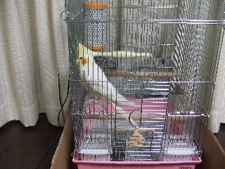 ここがお気に入りなんだぁ
