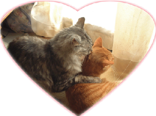 ねぇ。。。／Haney・・・