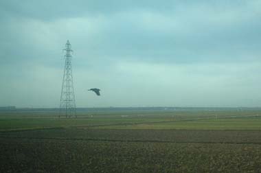 １１-0819きたぐに