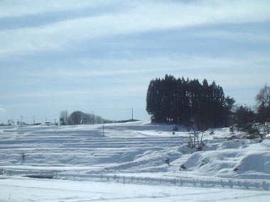 東北4-11遠野へ