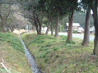 今津の米を支える清浄な水