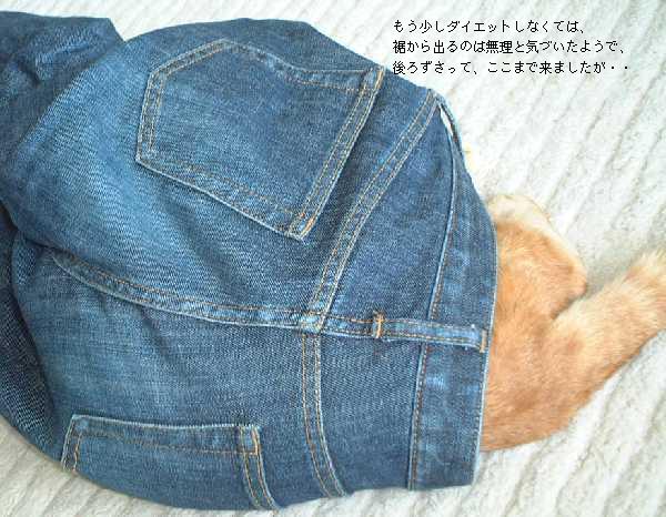 ジーンズを穿いたモモ／Momo who is wearing Jeans_2