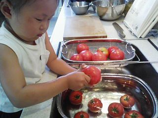 070703_tomato.jpg