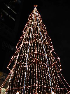 071216 rakuten-tree.jpg