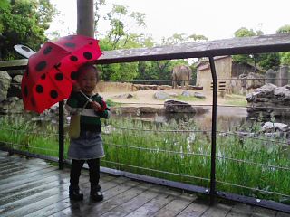 070510_zoo.jpg