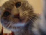 2005-08-26 18:05:29