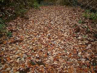 陣見山