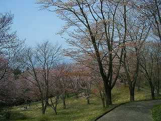 美の山