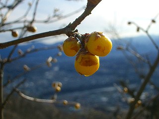 宝登山