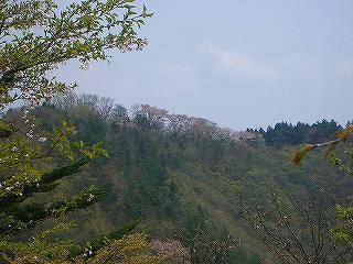 生藤山