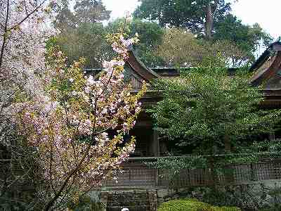 吉野山