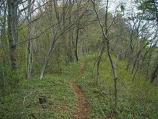 生藤山