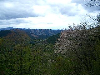 陣馬山