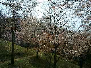 美の山