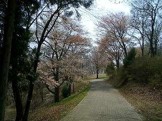 美の山