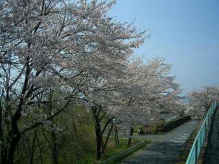 美の山