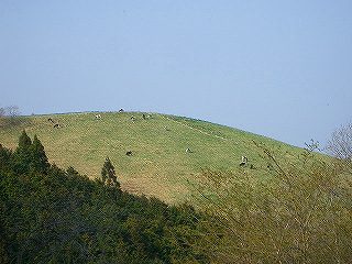 美の山