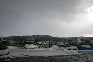 西川の風景