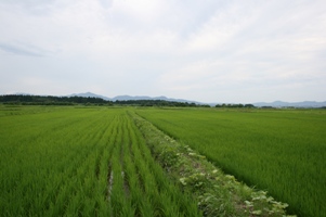 出羽燦々とまや山地