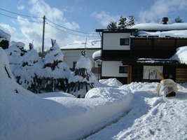 ふくつる雪