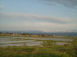 水田の海