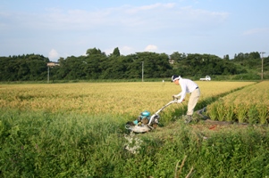 相沢さん草刈