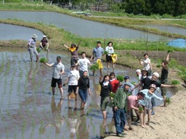 田植全員