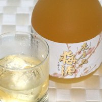 虎屋乃梅酒