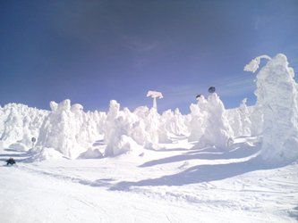 蔵王070217樹氷原