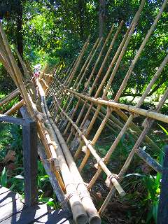 Bamboo Bridge