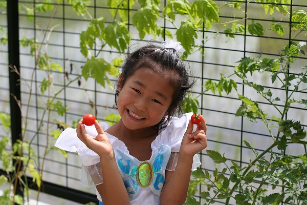 いかがですか～