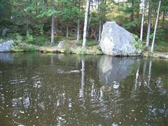 ファイト自分撮り２