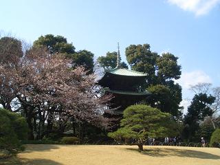 CIMG1232-1.JPG