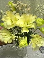 DSC00649-1.JPG