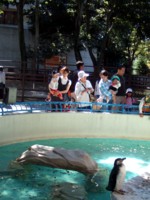 06.10.8chiba_zoo3