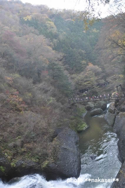 2009 11 15 袋田の滝(2)