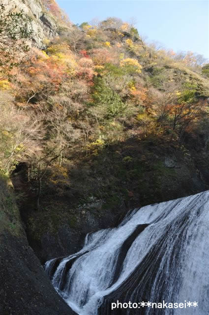 2009 11 15 袋田の滝(3)