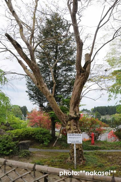 09 5.2-6 8.11 那須三十三所観音霊場巡(18)