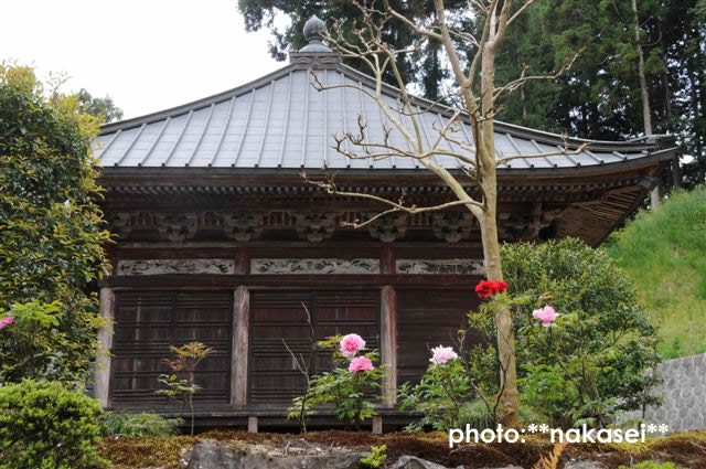 09 5.2-6 8.11 那須三十三所観音霊場巡(19)