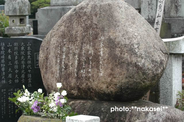 03/11/15 栃木山車祭り（３）