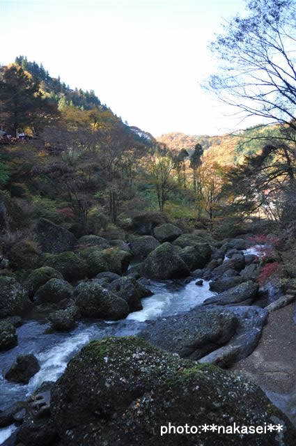 2009 11 15 袋田の滝(6)