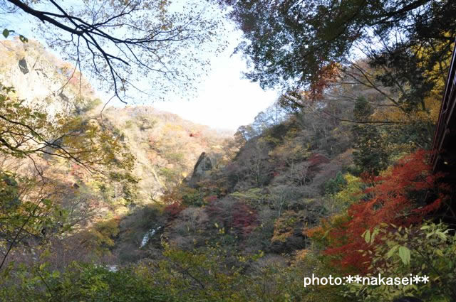 2009 11 15 袋田の滝(7)