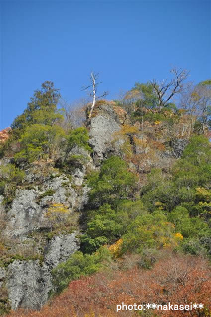 2009 11 15 袋田の滝(7)