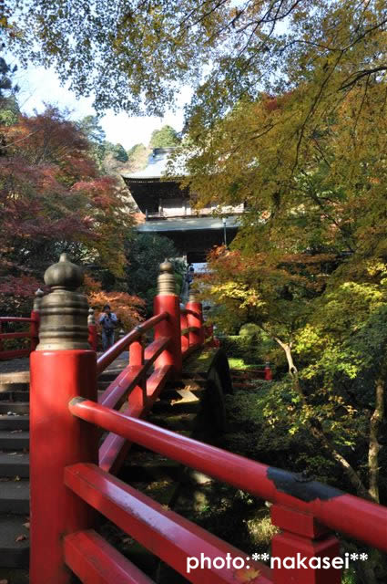 2009 11 15 雲巌寺 栃木県黒羽(１)