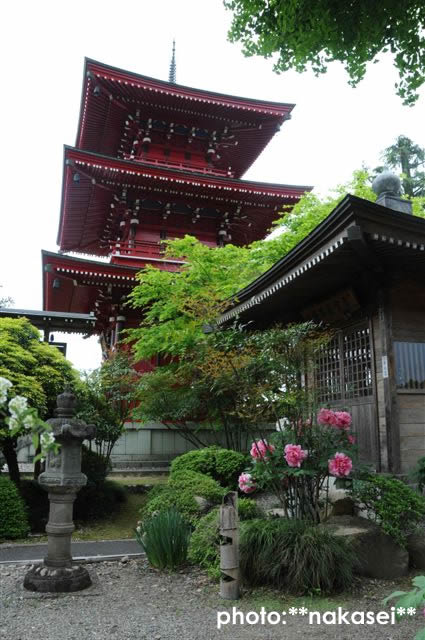 09 5.2-6 8.11 那須三十三所観音霊場巡(22)