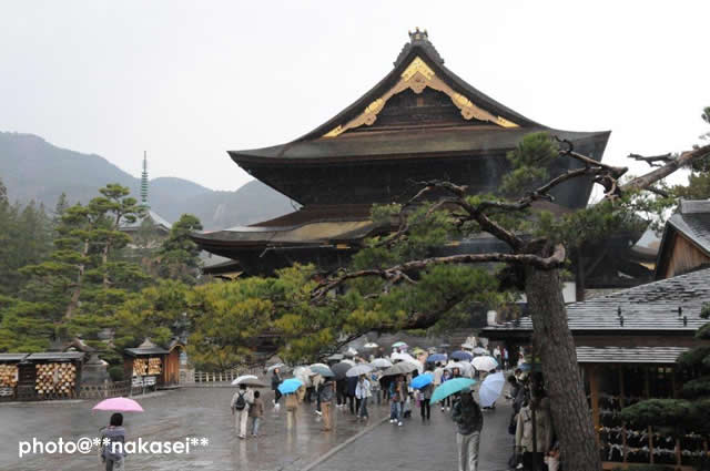 2011 4 30 長野県長野市　「善光寺」（２）
