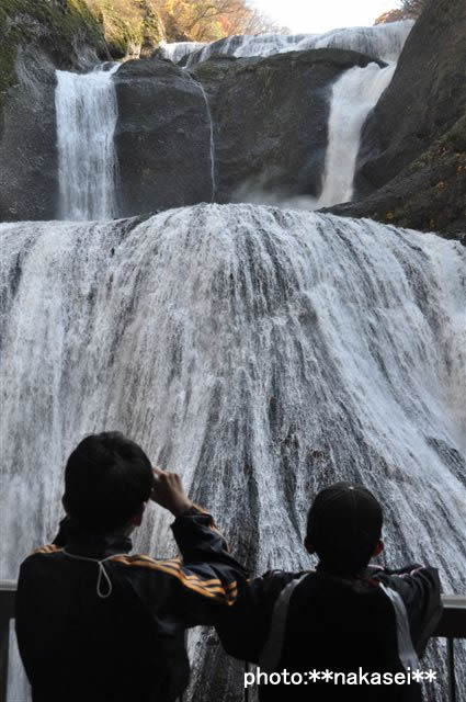 2009 11 15 袋田の滝(おまけ)
